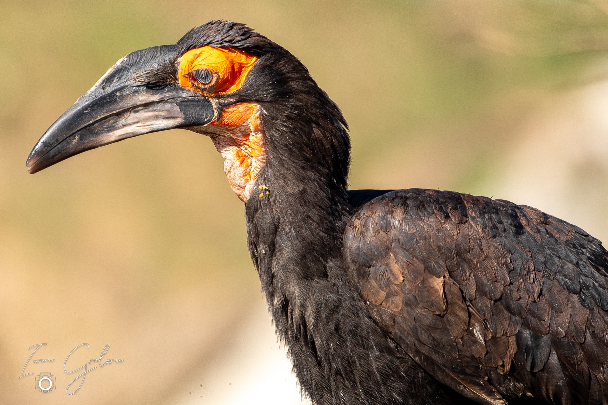 27 maart 2022 150202  5D45099